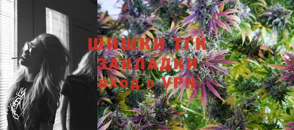 СК Заводоуковск