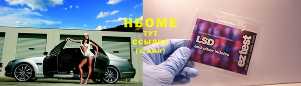 СК Заводоуковск