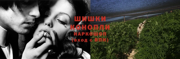 СК Заводоуковск