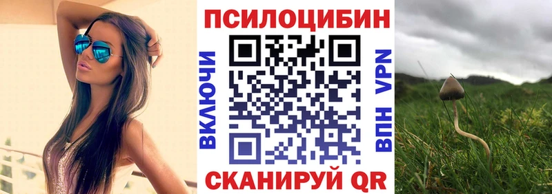 Купить закладки  Любань  Галлюциногенные грибы мицелий 