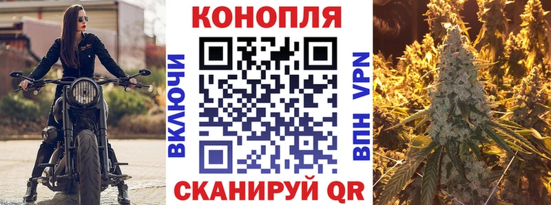 Каннабис план  Купить  Любань 